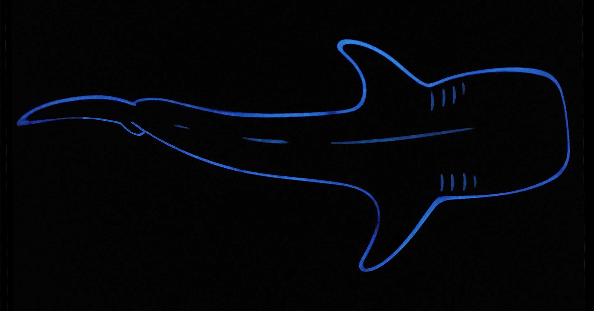Whale Shark Handmade Wooden Carving